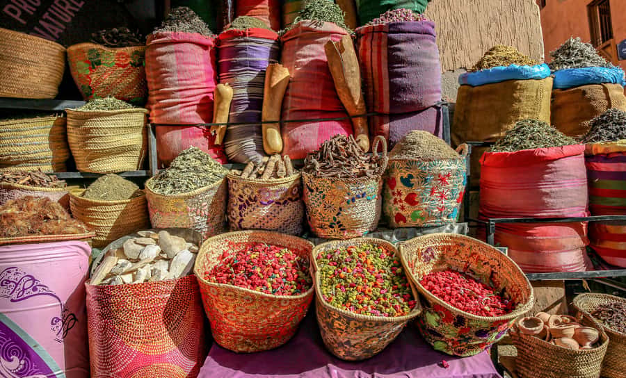 Marrakech: Atlas Mountains & Agafay Desert Tour w Camel Ride - Why this day trip works so well from Marrakech