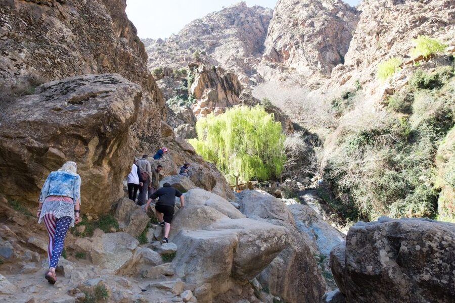 Marrakech: Atlas Mountains and 5 Valleys Day Tour with Lunch - What the guides add to the day