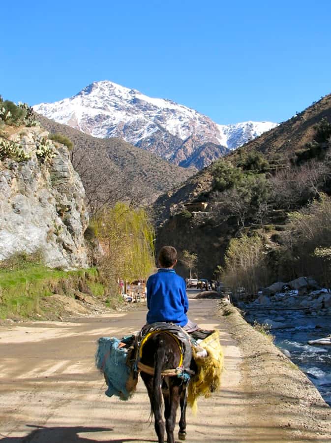 Marrakech: Atlas Mountains and Desert Safari with Lunch - Should you book the Atlas Mountains and Desert Safari?