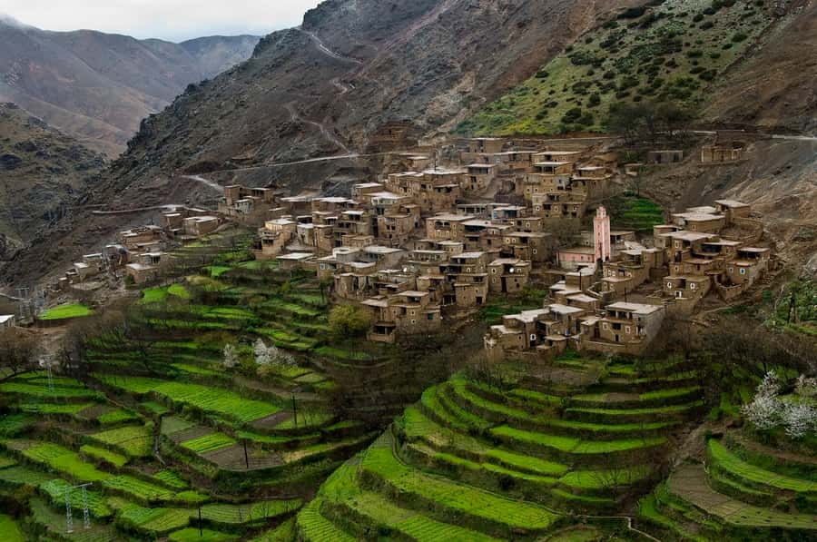 Marrakech: Atlas Mountains and Desert Safari with Lunch - The Kik Plateau and the changing views