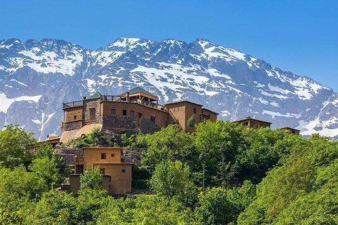 Marrakech: Atlas Mountains, Berber Villages, Agafay & Camel Ride - Who will enjoy this day most