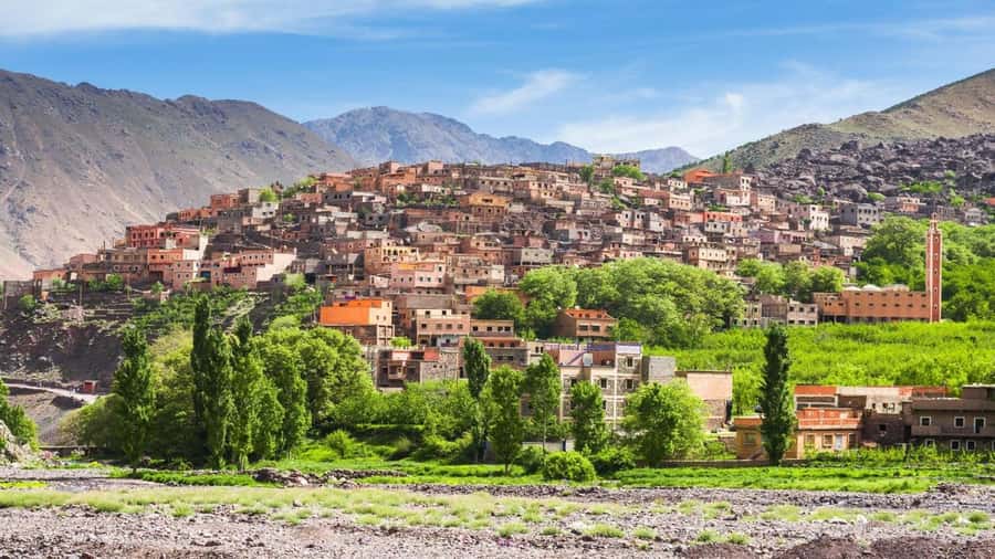 Marrakech: Atlas Mountains, Camel Ride, Waterfalls, & Lunch - A camel ride at Lala Takerkoust