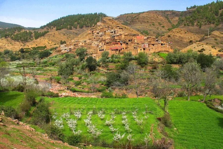 Marrakech: Atlas Mountains Day Trip, 3 Valleys & Waterfalls - Practical details before you book