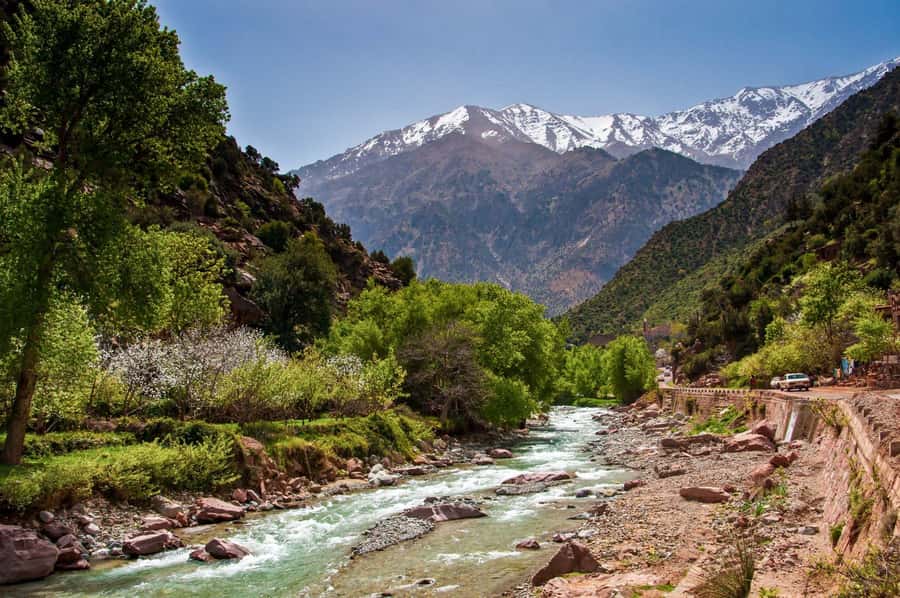 Marrakech:Atlas Mountains, Ourika Valley Day Trip,Waterfall - Should you book this Ourika Valley tour?