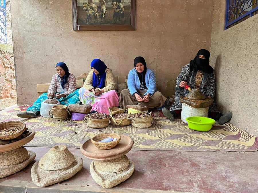 Marrakech: Atlas Mountains, Ourika Valley, Waterfall & Guide - Who should book this day trip