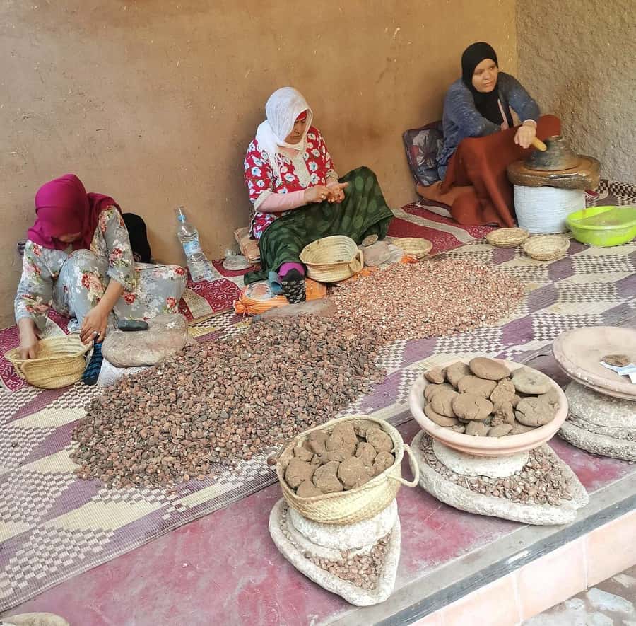 Marrakech: Atlas Mountains, Ourika Valley, Waterfall & Guide - Berber villages and the argan oil stop