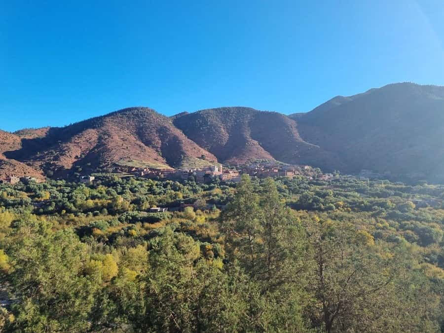 Marrakech: Atlas Mountains, Ourika Valley, Waterfall & Lunch - What the guides and drivers add