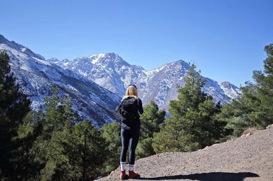 Marrakech: Atlas Mountains Summit Day Trek 2700m - Lunch in a Berber family home