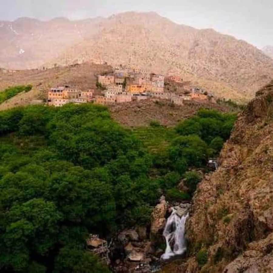 Marrakech: Atlas Mountains & Valleys Waterfall Hike w/ Lunch - The guide can shape the whole day