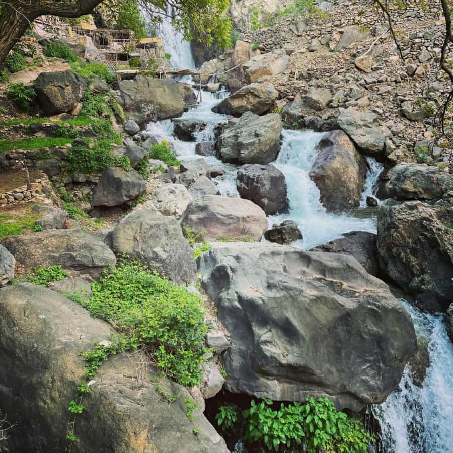 Marrakech: Atlas Mountains & Valleys Waterfall Hike w/ Lunch - Who should book this outing