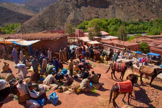 Marrakech: Atlas Mountains & Villages, Waterfalls, Camel Ride - Returning through walnut trees to Naqab Waterfall