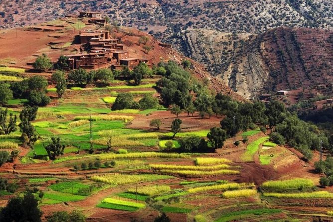 Marrakech: Atlas Mountains & Villages, Waterfalls, Camel Ride - Who should book this Atlas Mountains tour?