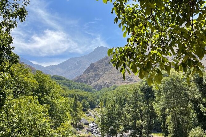 Marrakech: Atlas Mountains, Villages, Waterfalls Tour with Lunch - Mint tea and mountain villages around Imlil