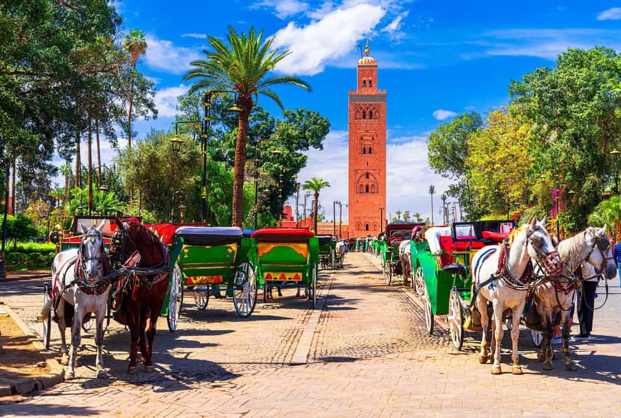 Marrakech: Bahia Palace, Madrasa Ben Youssef & Secret Garden - A useful first walk through Marrakech’s Medina