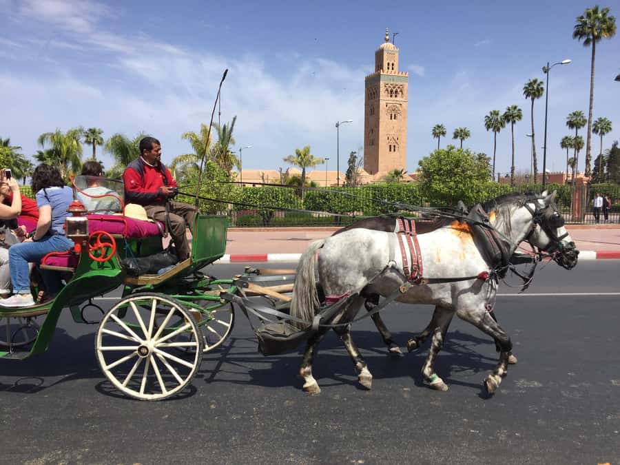 Marrakech: Bahia Palace, Saadian Tombs, & Koutoubia Mosque - Key points to know before booking