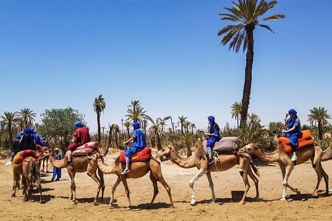 Marrakech Best Day Trip from Casablanca - Gueliz, the modern side of Marrakech