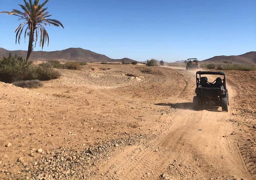 Marrakech: Buggy Experience at Palmeraie with Hotel Pickup - Key points to know before you book