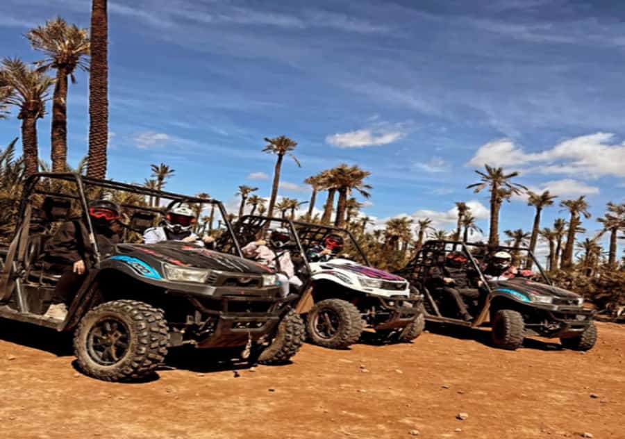 Marrakech: Buggy Experience at Palmeraie with Hotel Pickup - Who will enjoy this most