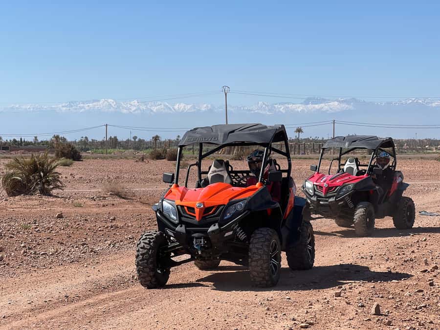 Marrakech Buggy Palmerie and Desert - Photo stops that are more useful than rushed snapshots