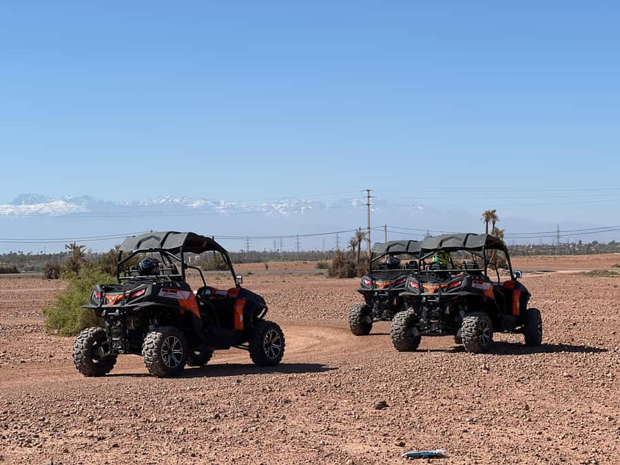 Marrakech Buggy Palmerie and Desert - Which guide style suits you best