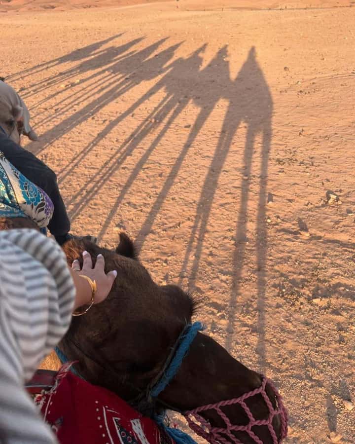 Marrakech: Camel & Quad Bike Tour with Sunset, Dinner & Show - Key points to know before booking