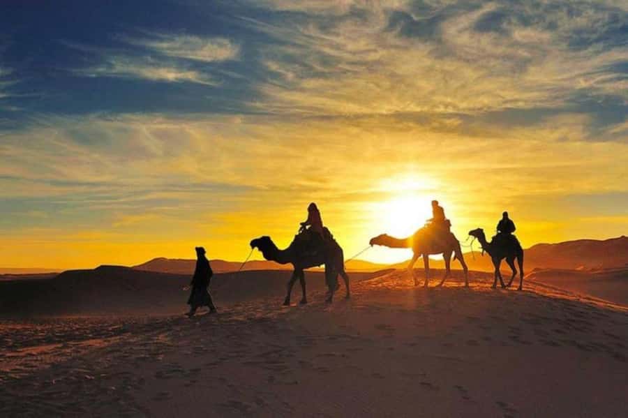 Marrakech: Camel & Quad Bike Tour with Sunset, Dinner & Show - The argan oil cooperative adds a cultural pause
