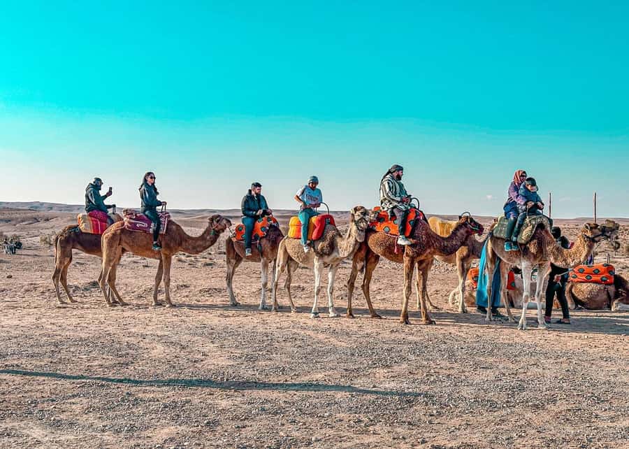 Marrakech: Camel Ride, Dinner, Pool, and Fire Show in Agafay - Key points to know before booking