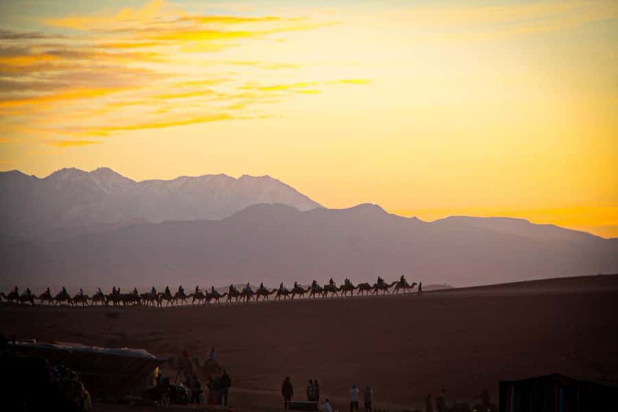 Marrakech: Camel Ride, Dinner, Pool, and Fire Show in Agafay - Is $23 a fair price?