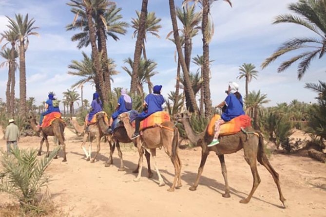Marrakech Camel Ride Experience with Pick-up - Pickup from your accommodation