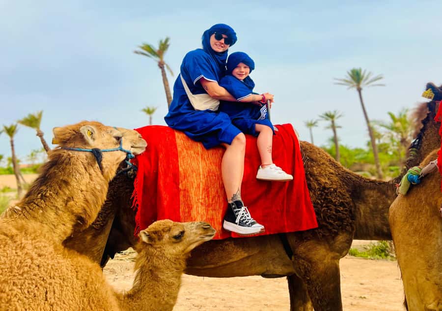 Marrakech: Camel Ride in the Oasis Palmeraie - Key points to know before you book