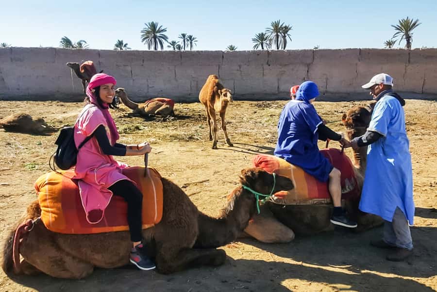 Marrakech: Camel Ride in the Oasis Palmeraie - What to bring and how to prepare