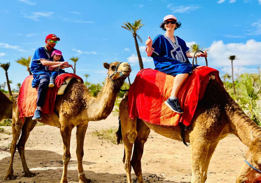 Marrakech: Camel Ride in the Oasis Palmeraie - What the Palmeraie adds to a Marrakech visit