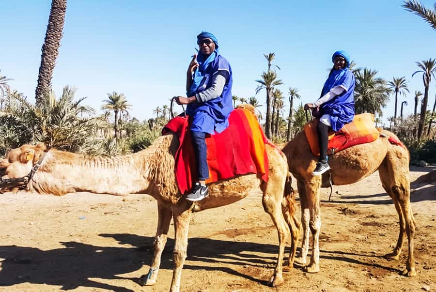 Marrakech: Camel Ride in the Oasis Palmeraie - Mounting up and meeting the camels