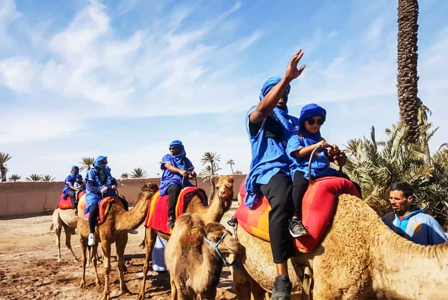 Marrakech: Camel Ride in the Oasis Palmeraie - One hour through palms and village paths
