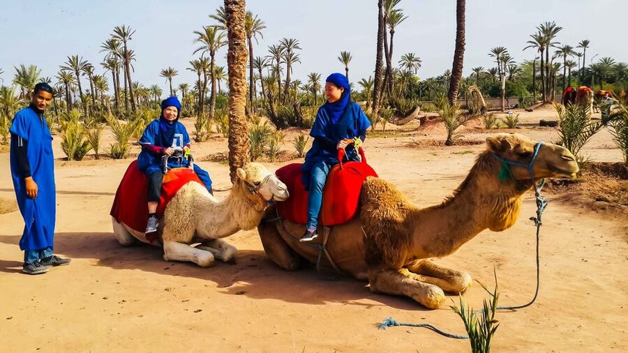 Marrakech: Camel Ride in the Oasis Palmeraie - Mint tea in a nomadic area