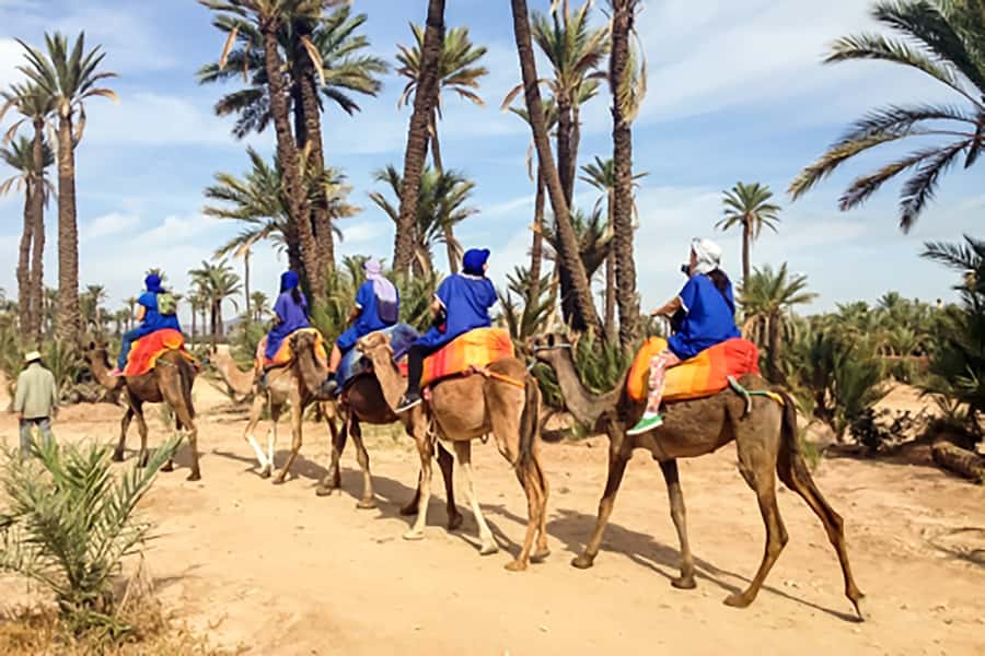 Marrakech: Camel Ride in the Oasis Palmeraie - Is $26 good value?