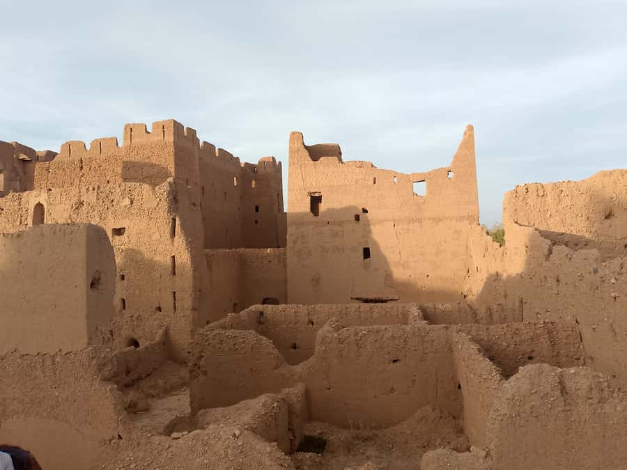 Marrakech: Camel Ride in the Palm Grove - Guides, language, and the private format