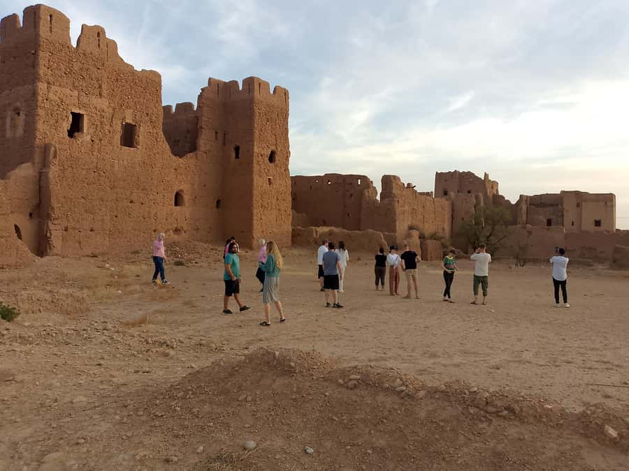 Marrakech: Camel Ride in the Palm Grove - What the palm grove is really like