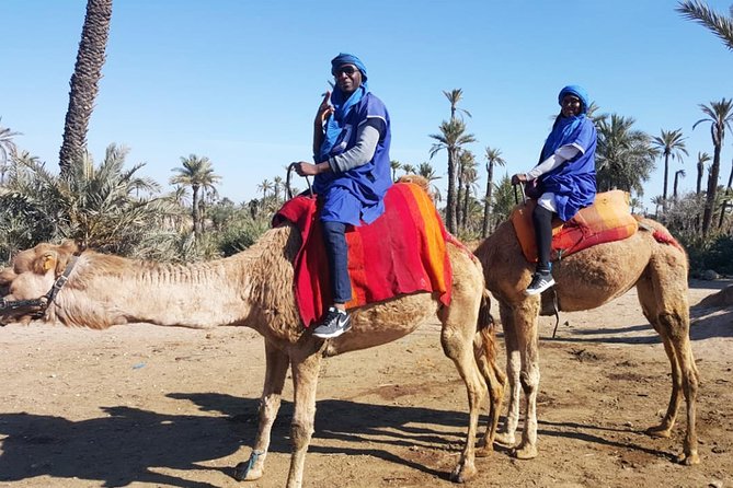 Marrakech Camel ride & Quad Bike experience in the oasis Palmeraie - Is $67.46 good value?