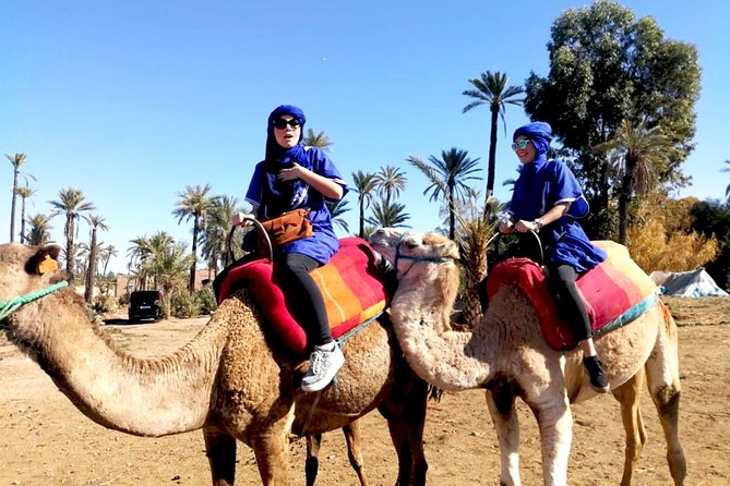 Marrakech Camel ride & Quad Bike experience in the oasis Palmeraie - Who will enjoy this outing most?