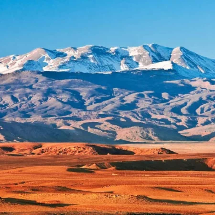 Marrakech: Camel Ride & Sunset Dinner with Fire Show - Berber music, dancing, and the fire show