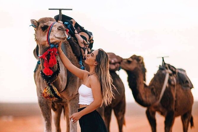 Marrakech: Camels & Quads on Sunset with Luxury Dinner, Fireshow - Key points to know before booking
