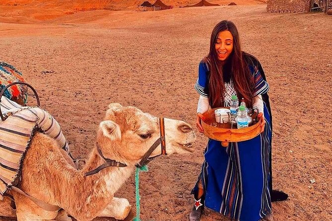 Marrakech: Camels & Quads on Sunset with Luxury Dinner, Fireshow - Music, dancing, and the fire show