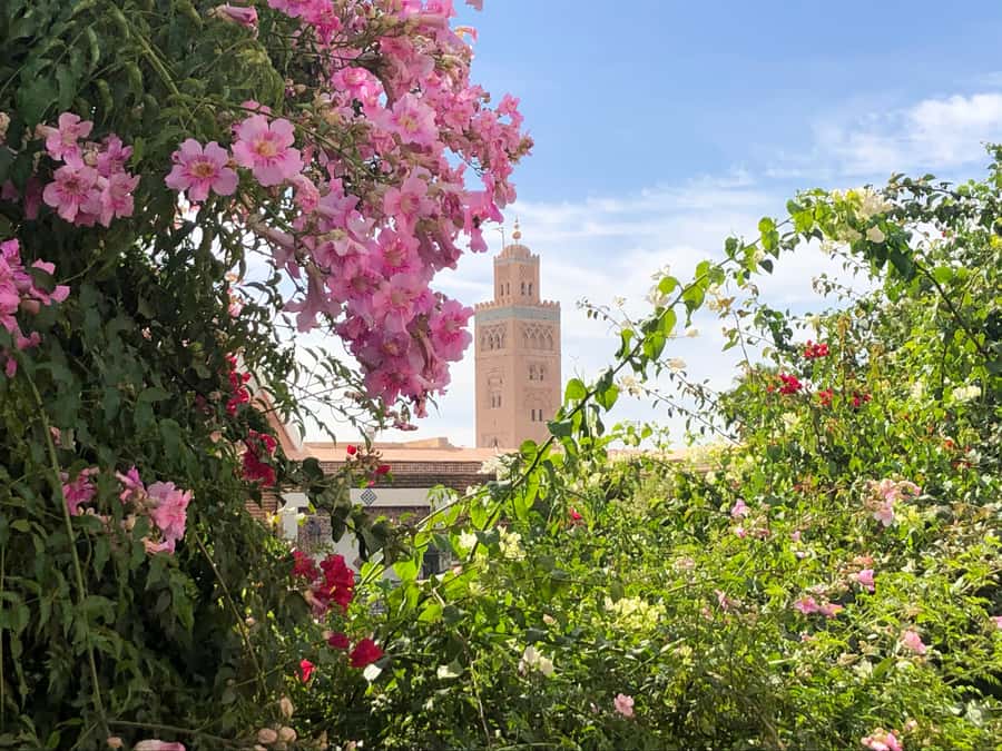 Marrakech: Customized Guided Walking Tour - Saadian Tombs and the city’s royal past