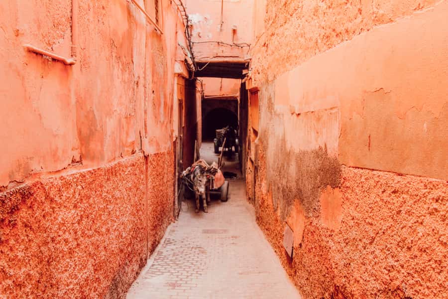 Marrakech: Customized Guided Walking Tour - Menara Gardens for a slower change of pace