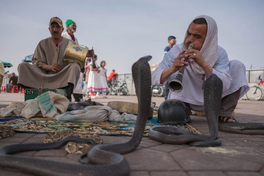 Marrakech: Customized Guided Walking Tour - Language, walking conditions, and practical preparation