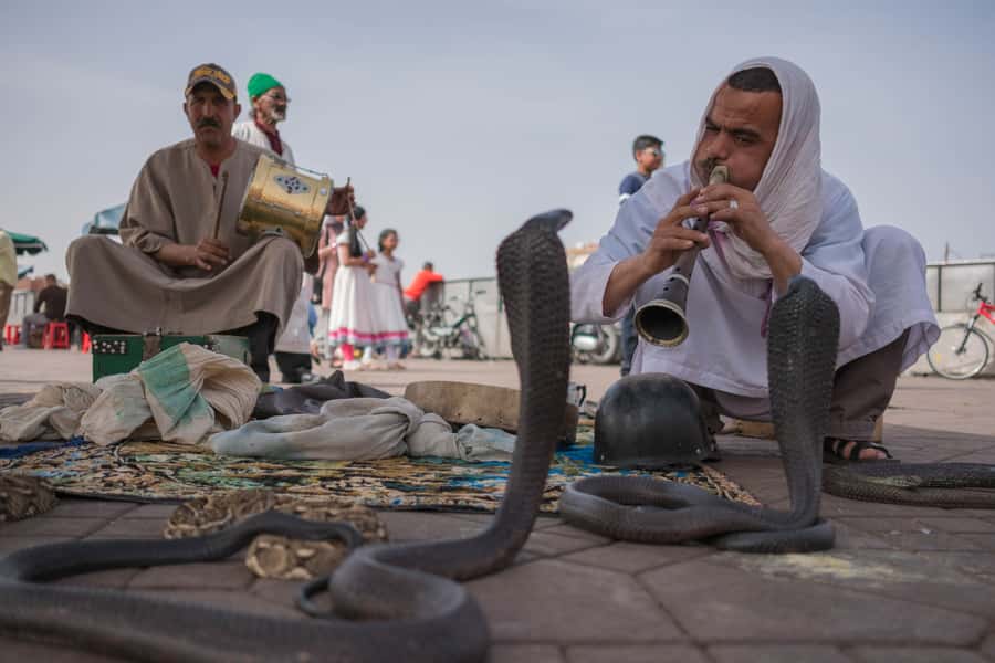 Marrakech: Customized Guided Walking Tour - Bahia Palace and the language of Moroccan design