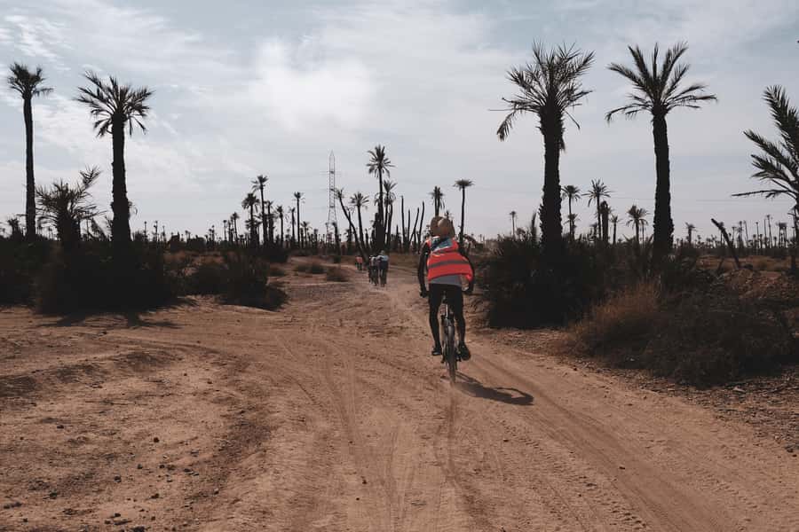 Marrakech: Cycling Tour in Palm Groove with Local Breakfast - From grand villas to village roads