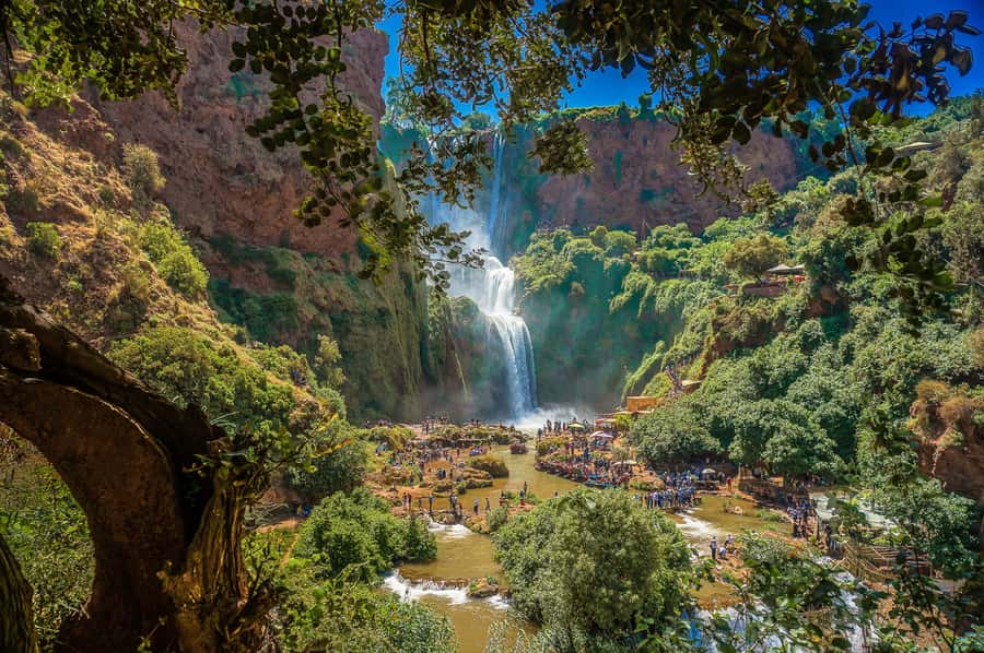 Marrakech: Day Tour to Ouzoud Waterfalls with Boat Trip - Lunch with a view, but watch the bill