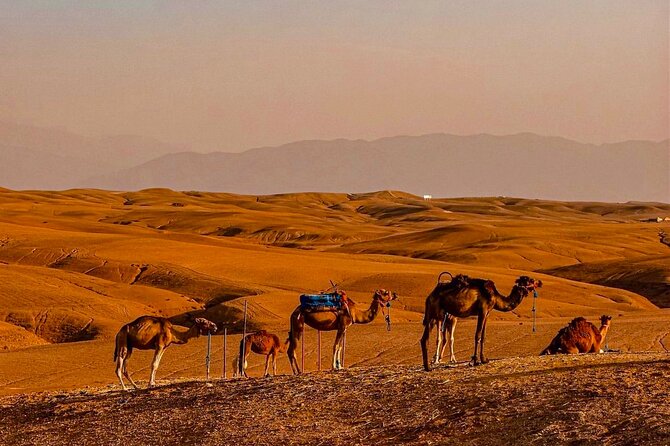 Marrakech Day Trip: Agafay Desert, Atlas Mountains and Camel Ride - The waterfall walk and Berber village life